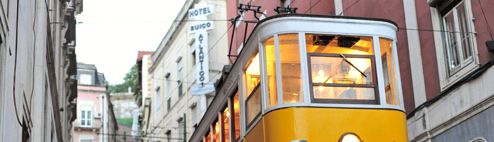 Poznań Strony WWW Tworzenie Stron Internetowych Piła Koszalin Firma Budowlana Plisy Rolety Okna Nagrobki Stolarz Ślusarz Ubezpieczenia Żaluzje Wrocław Warszawa Kraków Toruń Bydgoszcz Opole Gdańsk Gdynia Gorzów